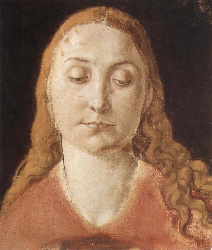 Albrecht Durer Portrait of a woman with Loose Hair Sweden oil painting art